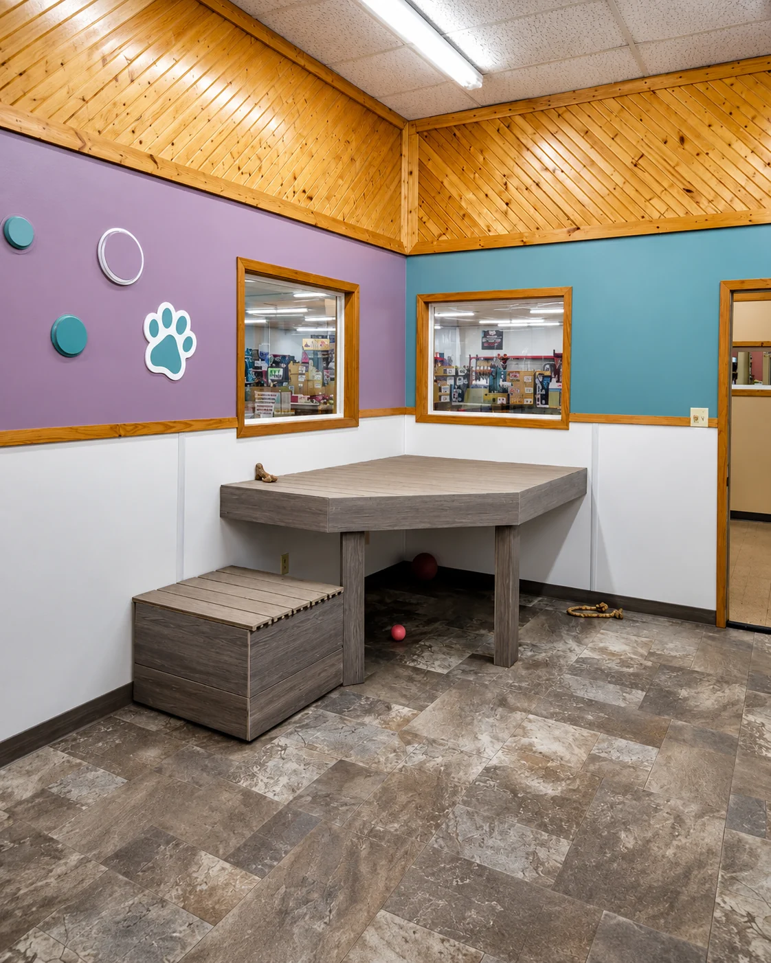 Large dog daycare play room