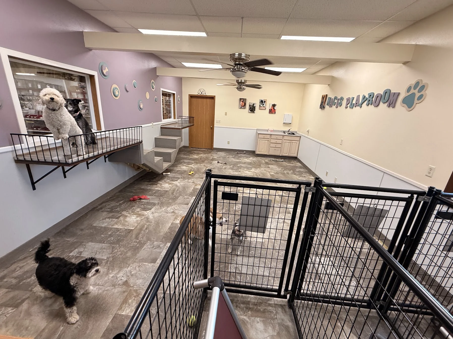 Maci's Playroom, the empty small-dog play room