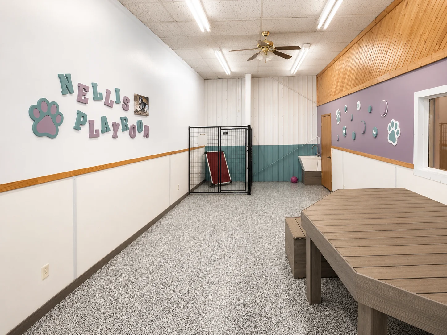 Nellis Playroom, the empty large-dog play space