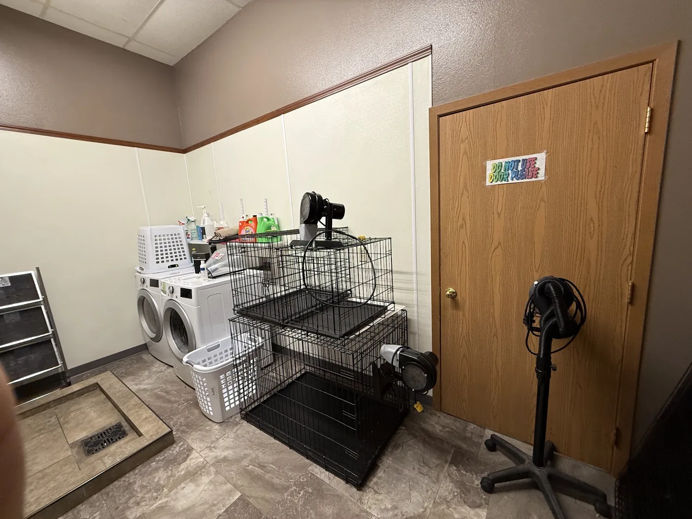 The grooming room with wash station, dryer and dyson