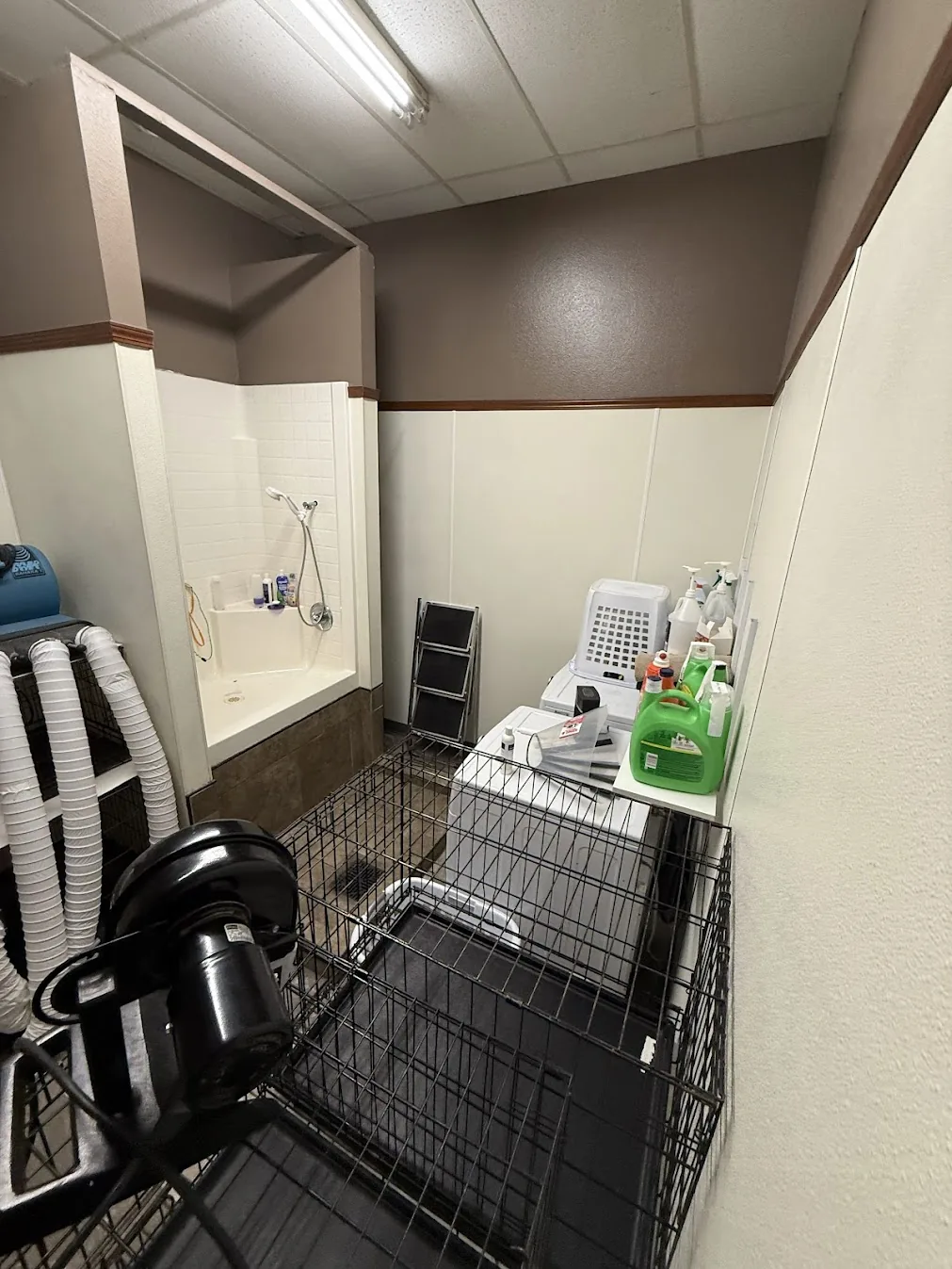 The grooming area