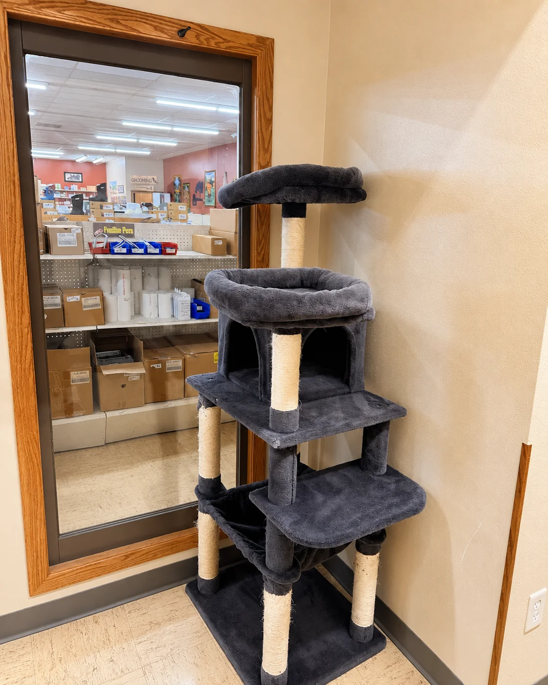 The tall cat tree by the window with a view into the store